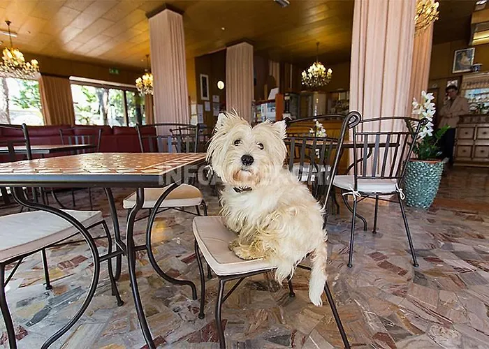 Otel Momo Seaview Hotel Rimini