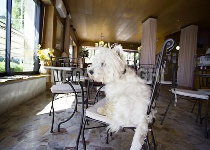 Momo Seaview Hotel 3*