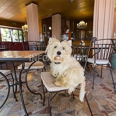 Hotell Marconi Rimini