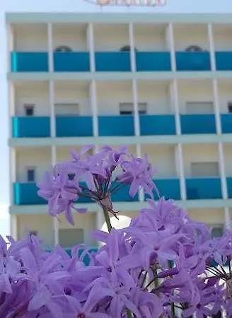 Momo Seaview 3*