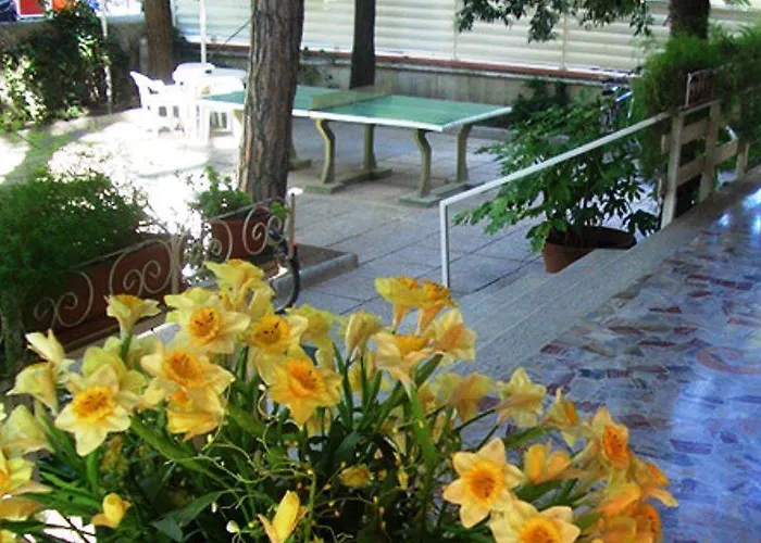 فندق Momo Seaview Hotel 3*